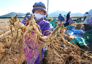 South Korea Submits UNESCO Nominations for Ginseng and Taekwondo as Intangible Cultural Heritage