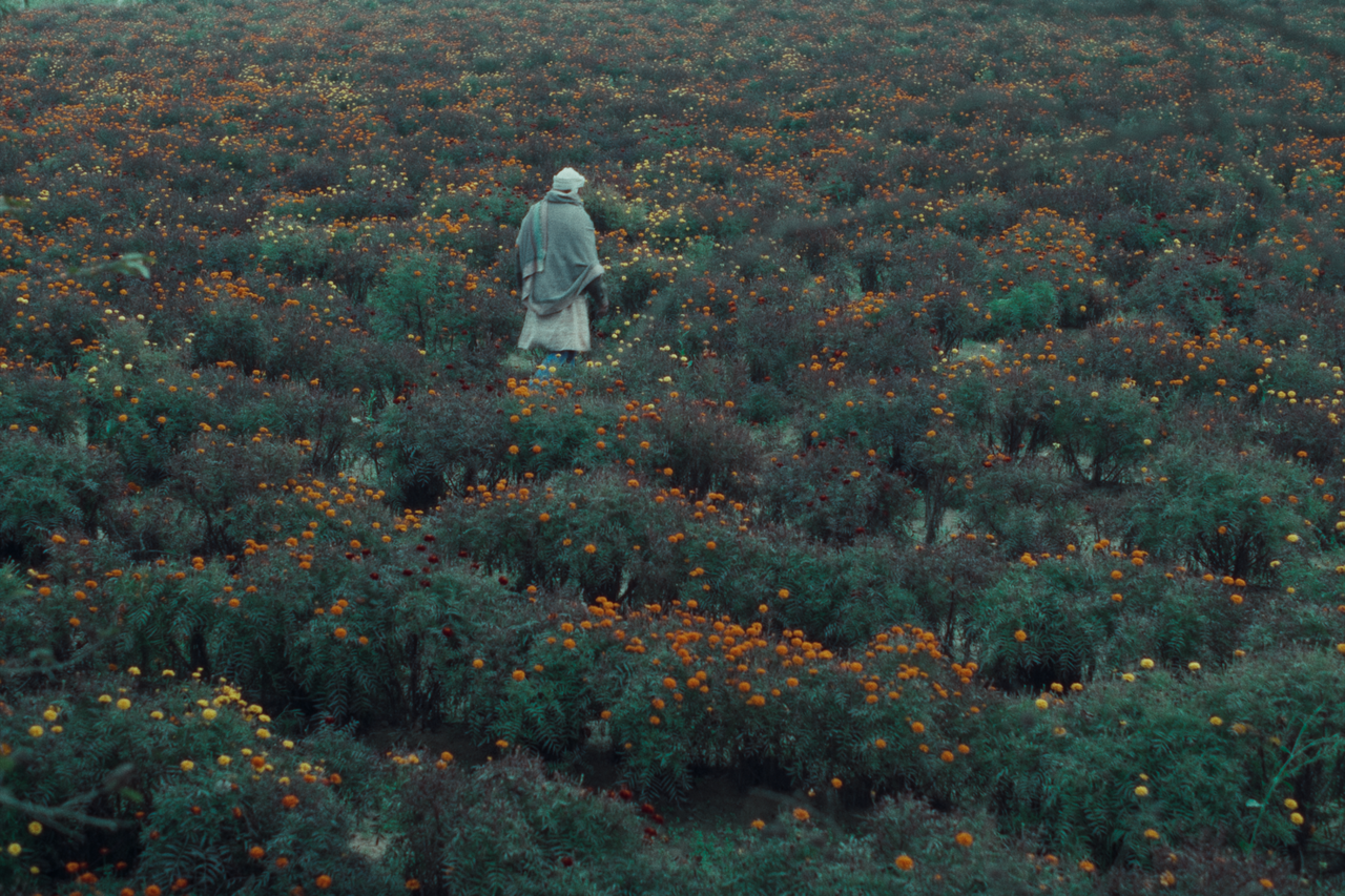 "The Calf Doll" (Jeonju International Film Festival)