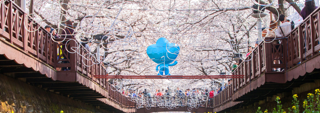 Jinhae Gunhangje Festival (KTO)