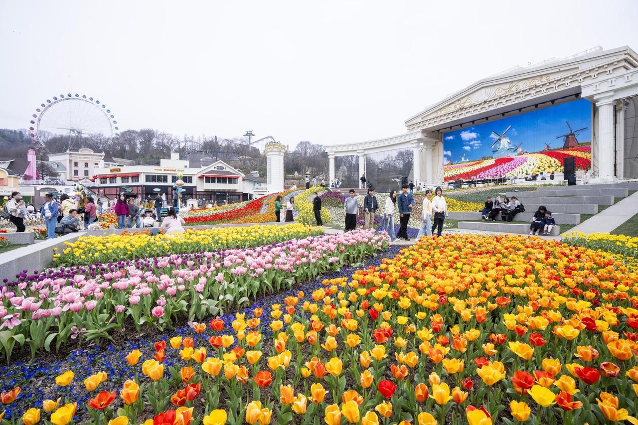 Tulip Festival at Four Seasons Garden in Everland (Samsung C&T)