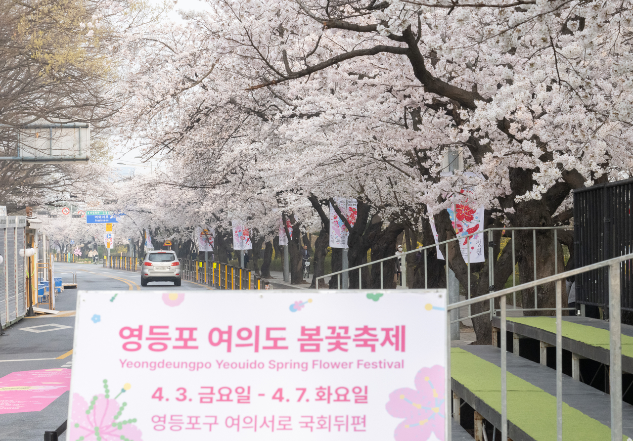 2026 벚꽃 명소 베스트 10 — 올해 꼭 가봐야 할 전국 벚꽃길 총정리 여의도 윤중로 벚꽃