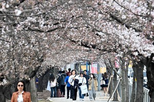 “봄 날씨 좋다고? 큰일 날 소리” 지독한 계절이 온다…이번 여름, 단단히 각오해야 [지구, 뭐래?-픽(Pick)]