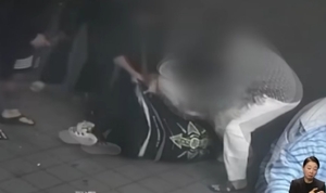 헤럴드경제 관련 기사 이미지