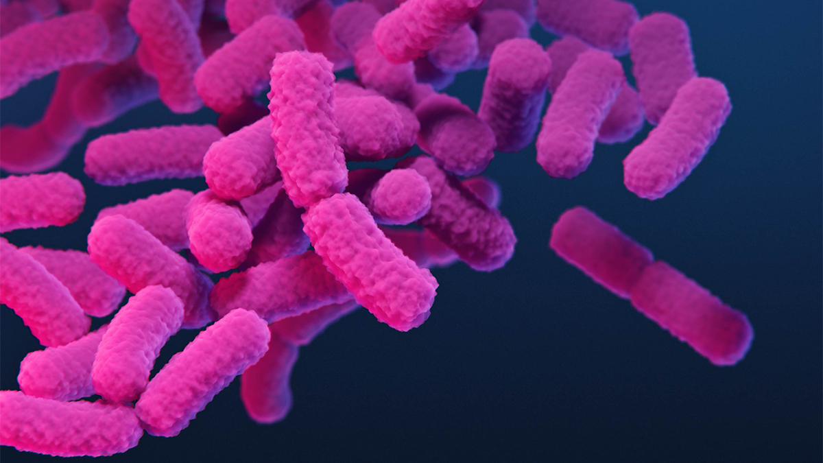 Carbapenem-resistant Enterobacterales (US CDC)