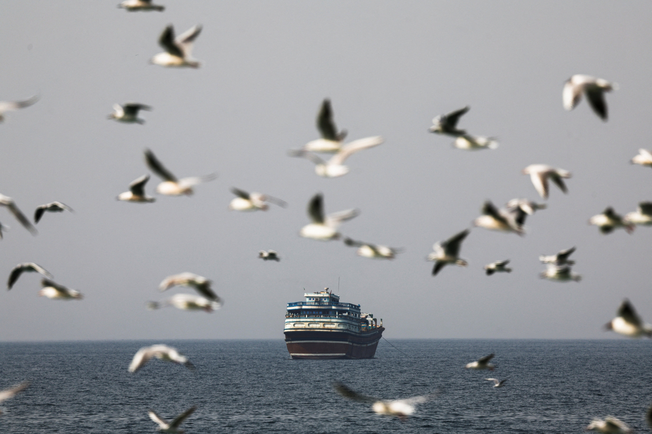 Birds fly near a boat in the Strait of Hormuz amid the US-Israeli conflict with Iran, as seen from Musandam, Oman, in March. (Reuters-Yonhap)