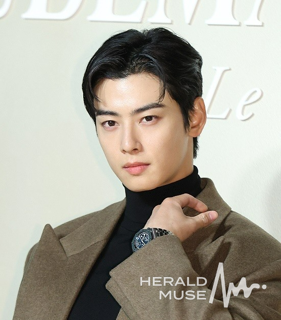 차은우/사진=헤럴드뮤즈 DB