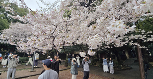 캐릭터 공모전부터 친구 추천 이벤트까지...봄철 교육업계 이벤트 경쟁 ... - 뉴스 썸네일 이미지