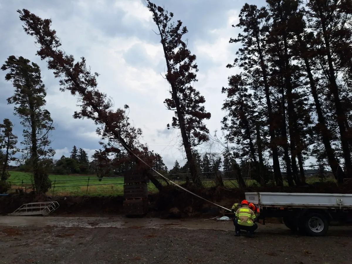 Heavy rain and strong winds lashed Jeju Island on Thursday, disrupting flights to and from the southern resort island. (Jeju Fire Safety Headquarters)