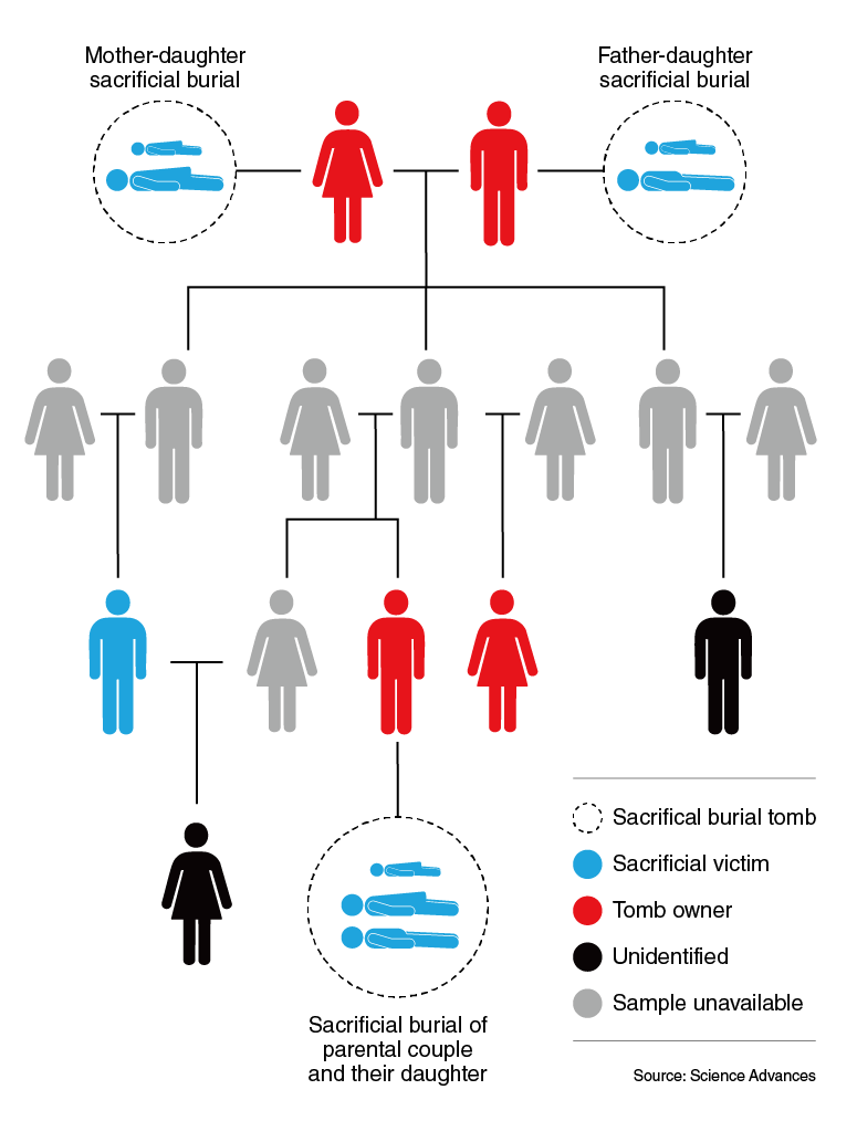 This pedigree, reconstructed from DNA analysis of individuals buried in the same grounds, reveals cases in which parent–child pairs were buried as part of sacrificial practices, including one involving both parents and their child. (The Korea Herald)