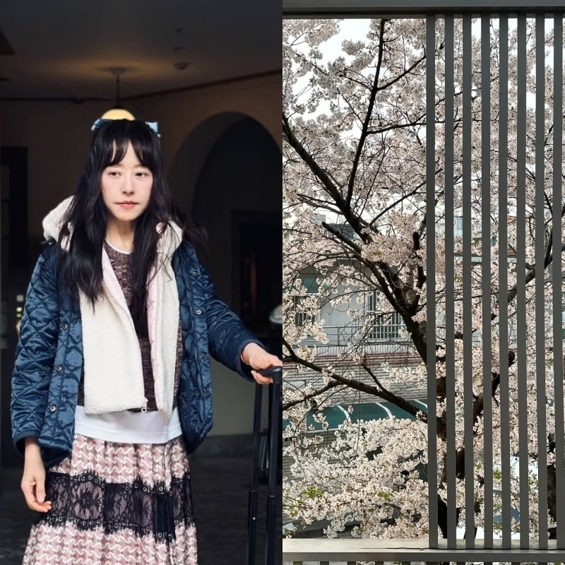 서정희 채널