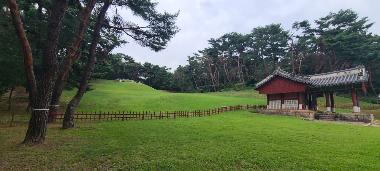 Sareung in Namyangju, the burial site of Queen Jeongsun, wife of King Danjong (Korea Heritage Service)