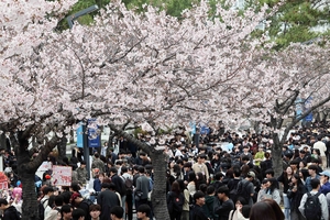 National universities spent millions on global ranking strategies: data