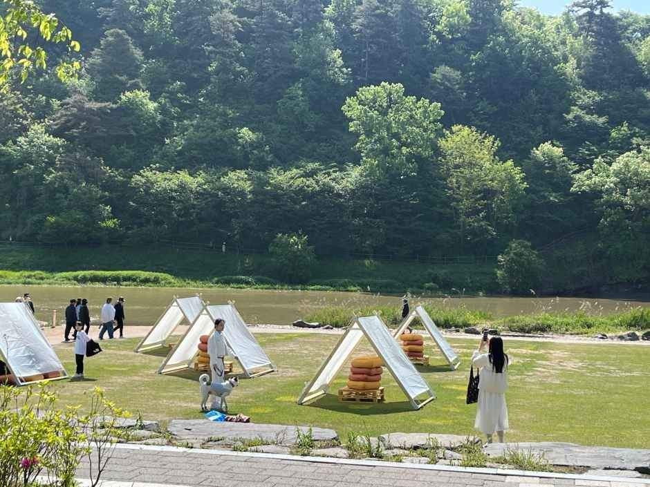Jincheon Nongdari Festival (KTO)
