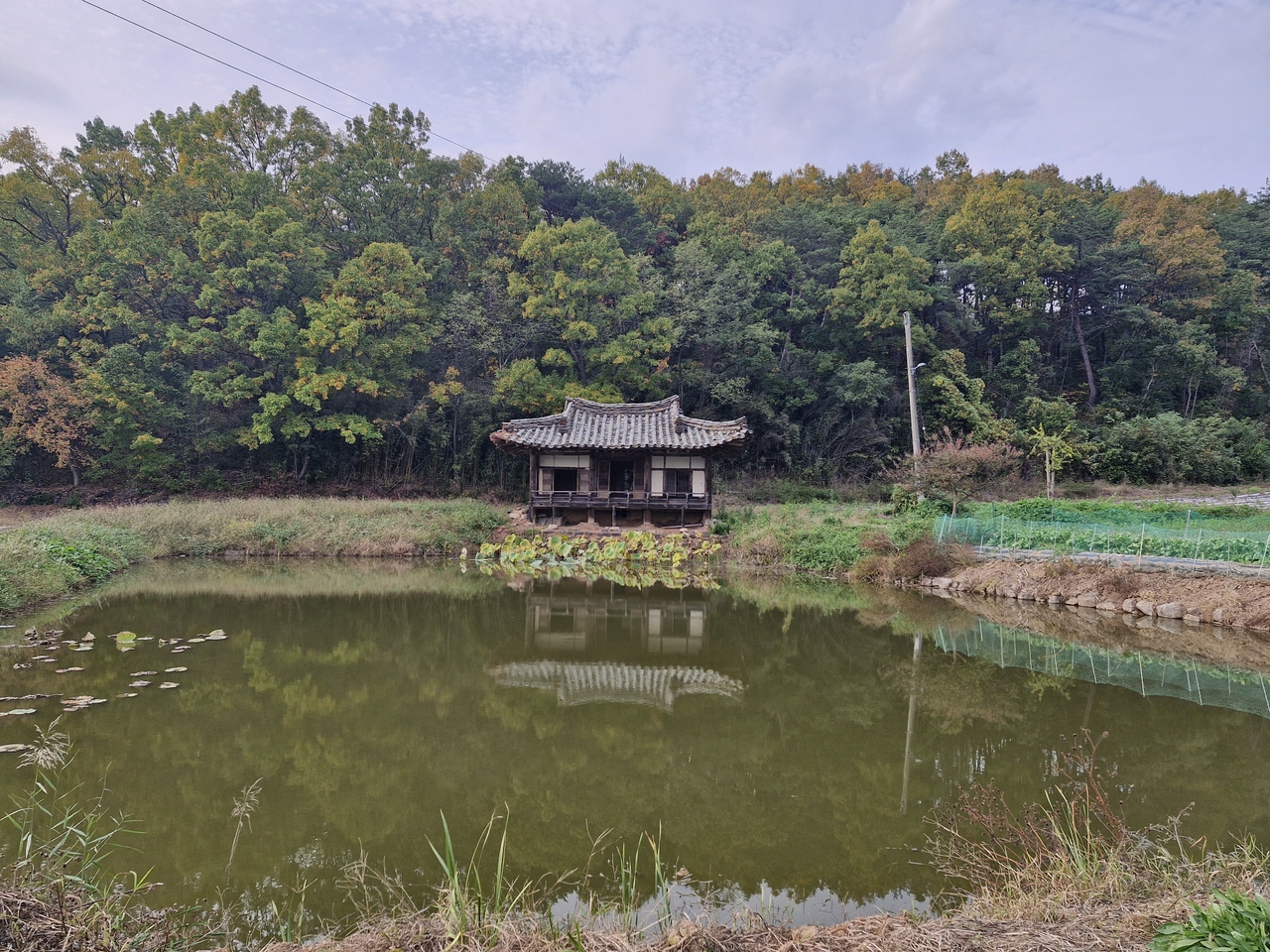 영덕 경렴정 전경.[영덕군 제공]