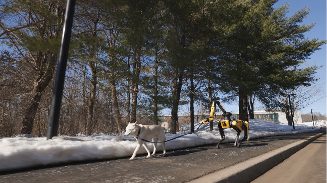 Spot, Boston Dynamics’ four-legged robot, holds a leash and takes a dog for a walk in a demonstration video released Tuesday. (Hyundai Motor Group)