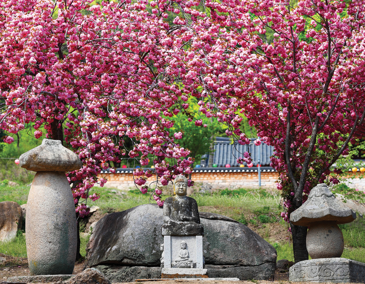 [경산문화관광재단 제공]