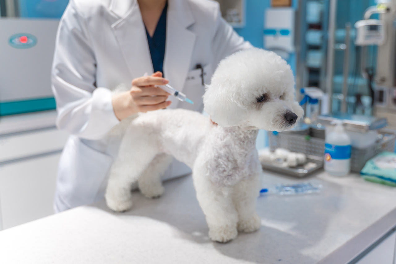 (The Seoul Metropolitan Government)