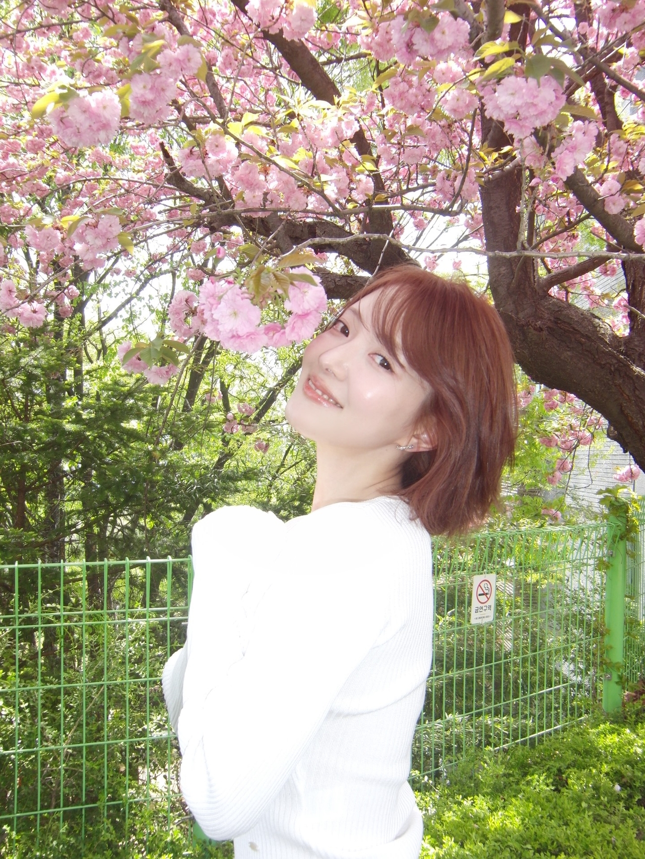 이세영 채널