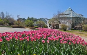 Picnics and rail bikes: a scenic escape to Chuncheon