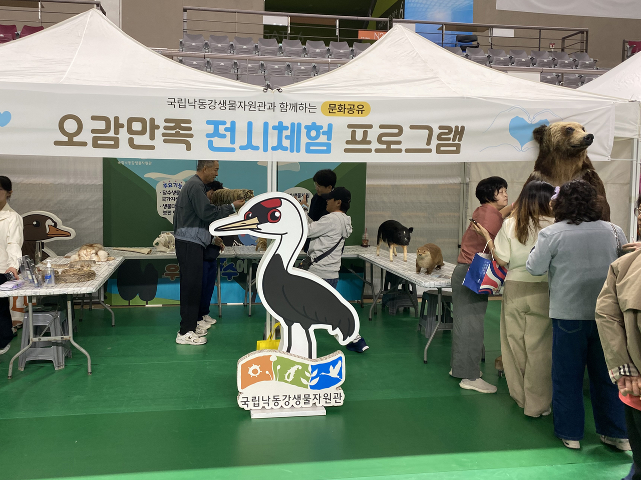 [국립낙동강생물자원관 제공]