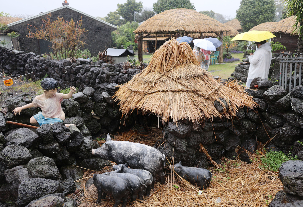 A child statue is placed beside pigs near a thatched-roof house at Seongeup Folk Village in Seogwipo, Jeju, on Saturday. (Yonhap)