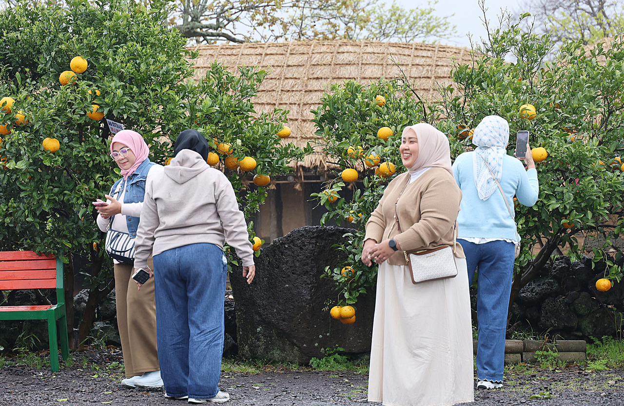 Visitors walk past tangerine trees at Seongeup Folk Village in Seogwipo, Jeju, on Saturday. (Yonhap)