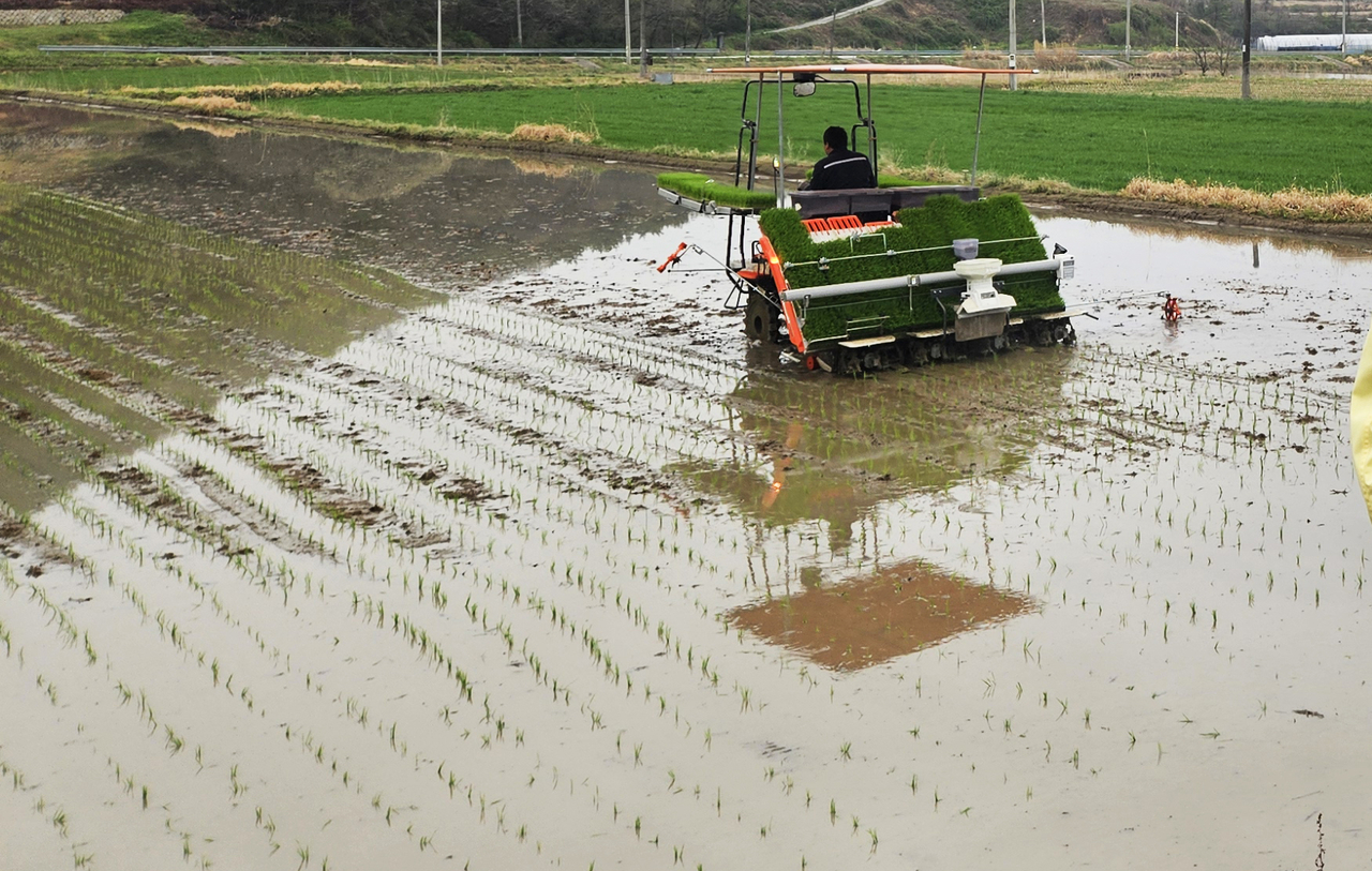 A farmer works at a farm in Sunchang-gun, North Jeolla Province, on April 10. (Yonhap)