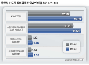 삼성·SK 덕에 외국계 반도체 장비 업체들도 고성장 - 뉴스 썸네일 이미지
