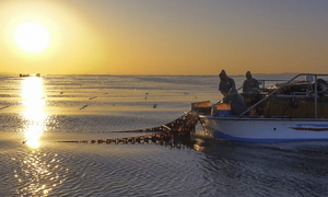 수천억짜리 '귀한 매물' 된 김 기업, M&A 시장 달군다 [줌-인 딜러전시... - 뉴스 썸네일 이미지