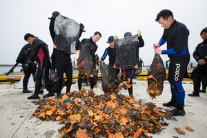 골칫덩이 불가사리, 친환경 제설제로 '자원' 됐다..수매하니 어민들 ... - 뉴스 썸네일 이미지