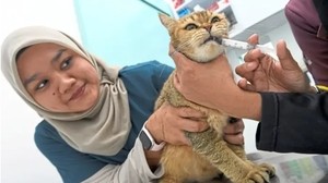 [ANN] Climate burns hole in Malaysian pet owners’ wallets