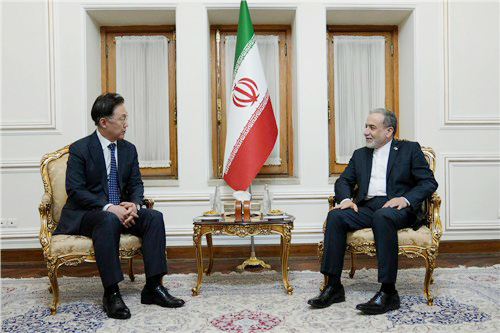 This photo, released by Iran's foreign ministry on Thursday, shows South Korea's special envoy, Chung Byung-ha (left), meeting with Iranian Foreign Minister Abbas Araghchi, in Tehran, Iran. (Yonhap)