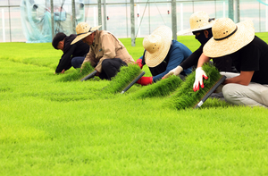 S. Korea to accept record 93,500 foreign seasonal workers for agriculture sector in H1