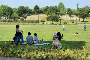 Blooming Seoul: Two gardens for softer, colorful weekend