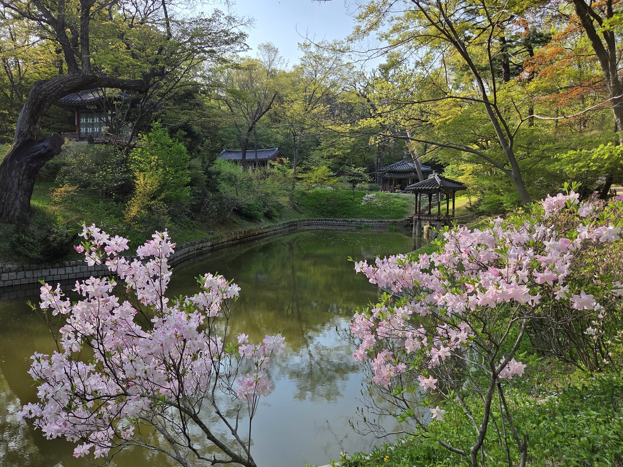 A view of the Secret Garden, or "Huwon," of Changdeokgung  in Seoul (Park Yuna/The Korea Herald)