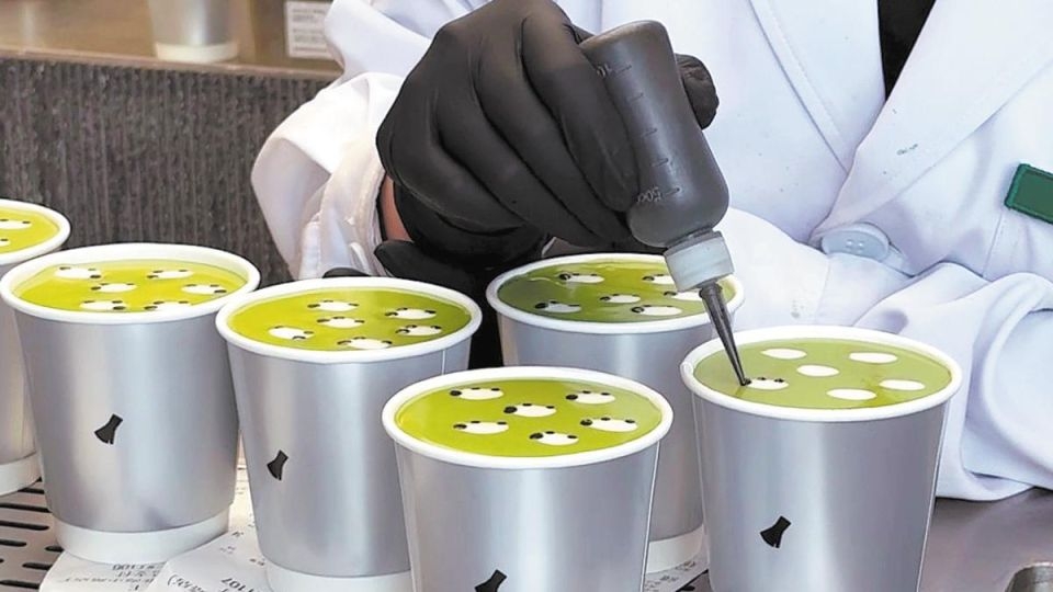 A staff member prepares the "little sheep latte" beverage at a Matcha Wang store on Huaihai Road, Shanghai    (China Daily)