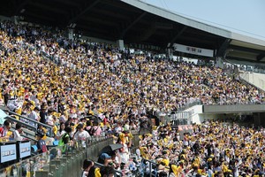 KBO reaches 2m attendance in record-low 117 games