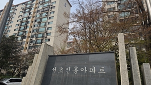 “계속 강남 살 수 있는 현금부자가 꿈” 30억 내집 이룬 85년생 다음 목표는[내돈내산 강남입성기③]