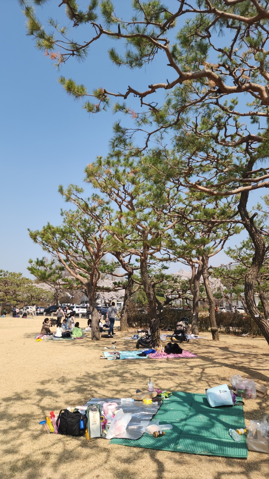 Visitors lay out mats to enjoy fresh spring air at the Gyoryeol Madang Plaza inside Seoul National Cemetery. (Naver blog)