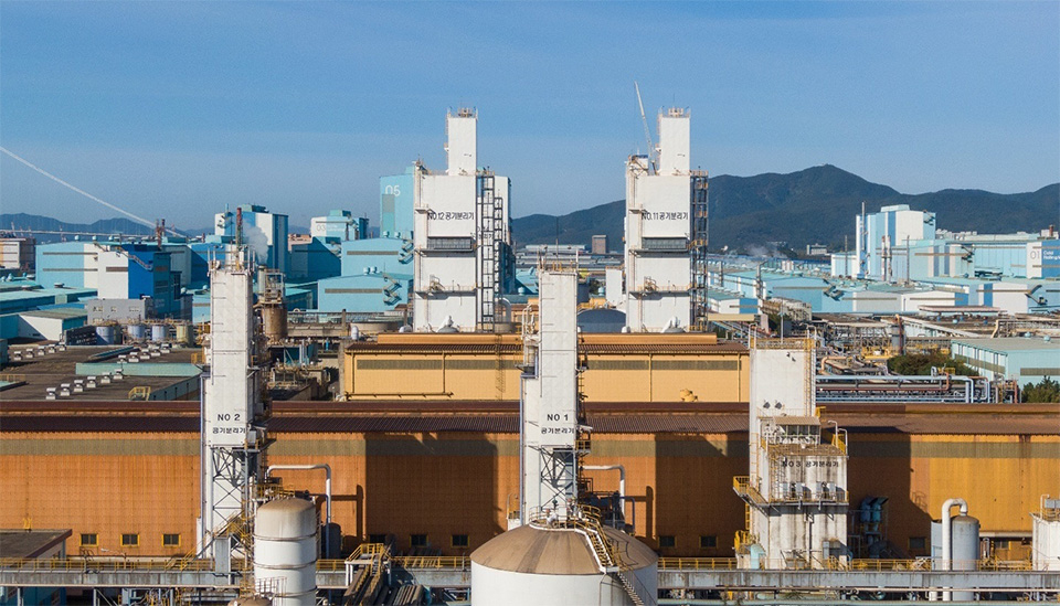 compacta plants 2