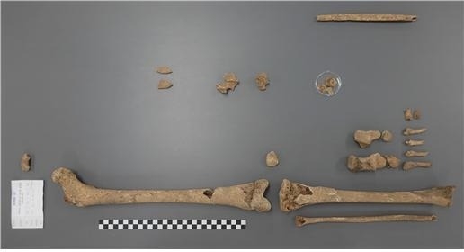 This photo shows the remains of late Corp. Kim Pan-seong, which were found near Yanggu County, 110 kilometers northeast of Seoul, in 2024. (Defense Ministry)