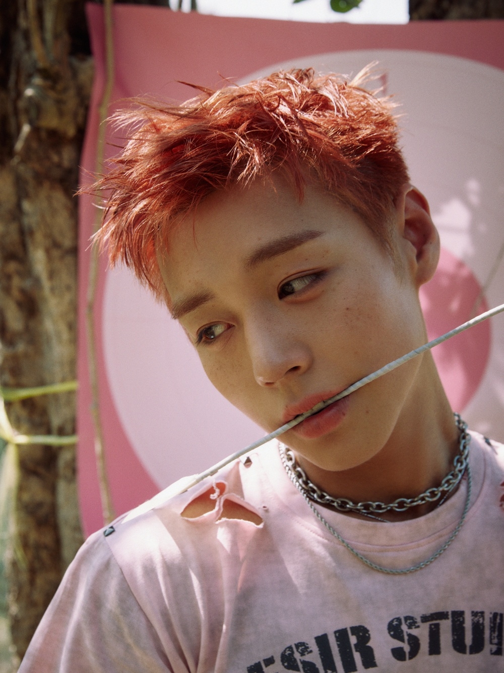 박지훈/사진=YY 엔터