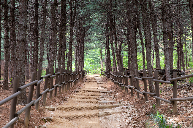 Gwanaksan trails (Getty Images)