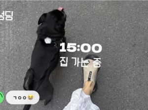 '요즘 20대들은 인스타그램 대신 이걸 쓴다?' 뜻밖의 '1위' 달성...... - 뉴스 썸네일 이미지