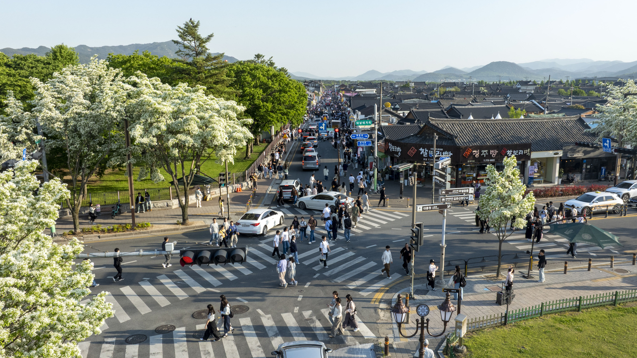 이팝나무가 절정을 맞은 경주 황리단길 일대에서 관광객들이 몰리며 거리가 붐비고 있다.[경주시 제공]
