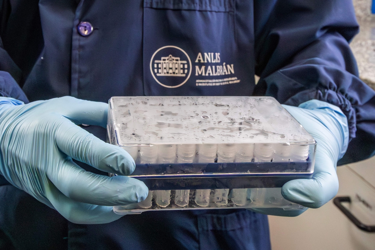 A medical expert handles samples used for diagnosing the Andes hantavirus, at the Malbran Institute in Buenos Aires, Argentina, Wednesday.   (AFP-Yonhap)