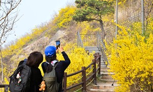 이번 주말 날씨는 ‘맑음’…낮 최고 26~27도·큰 일교차 주의