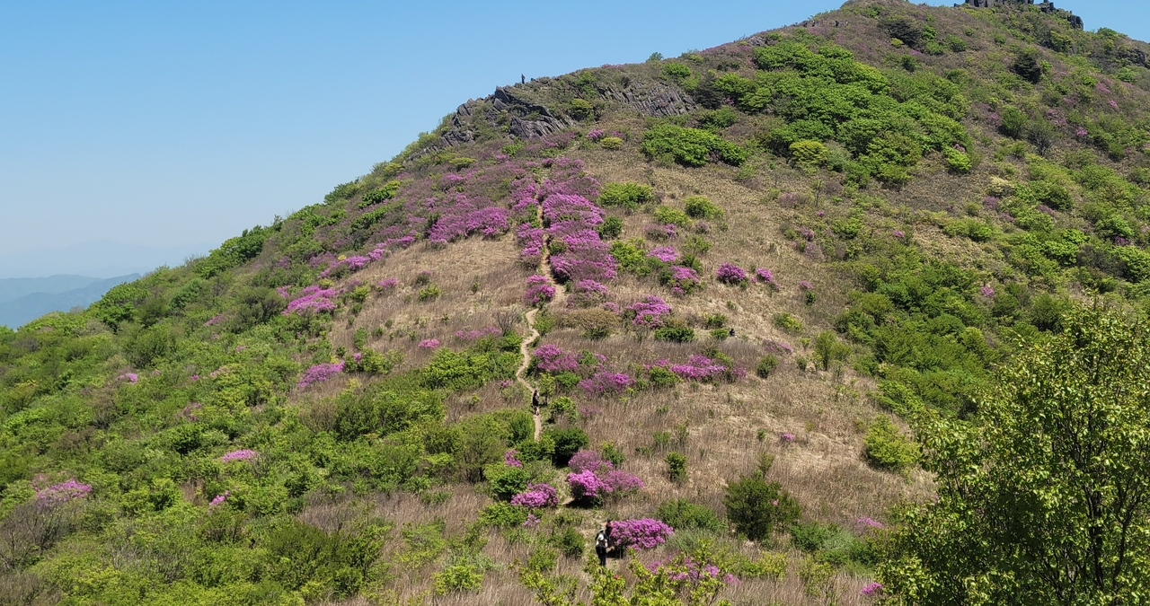 Mudeungsan Mountain (Yonhap)