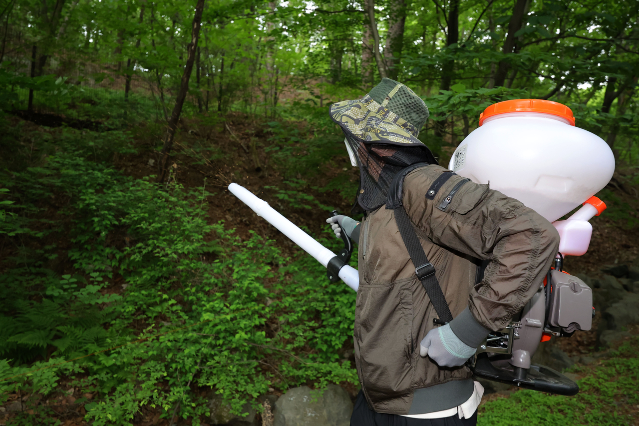 Seoul city officials spray pest control agents on the slopes of Buramsan, in Nowon-gu, Seoul, Thursday. (Newsis)