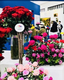 Goyang festival showcases Colombian flowers